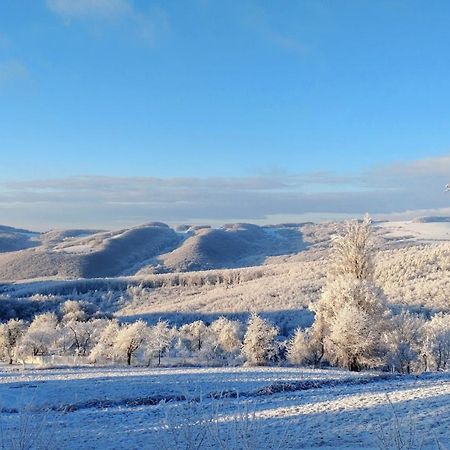 Nature Homestay Trenčín Exterior foto