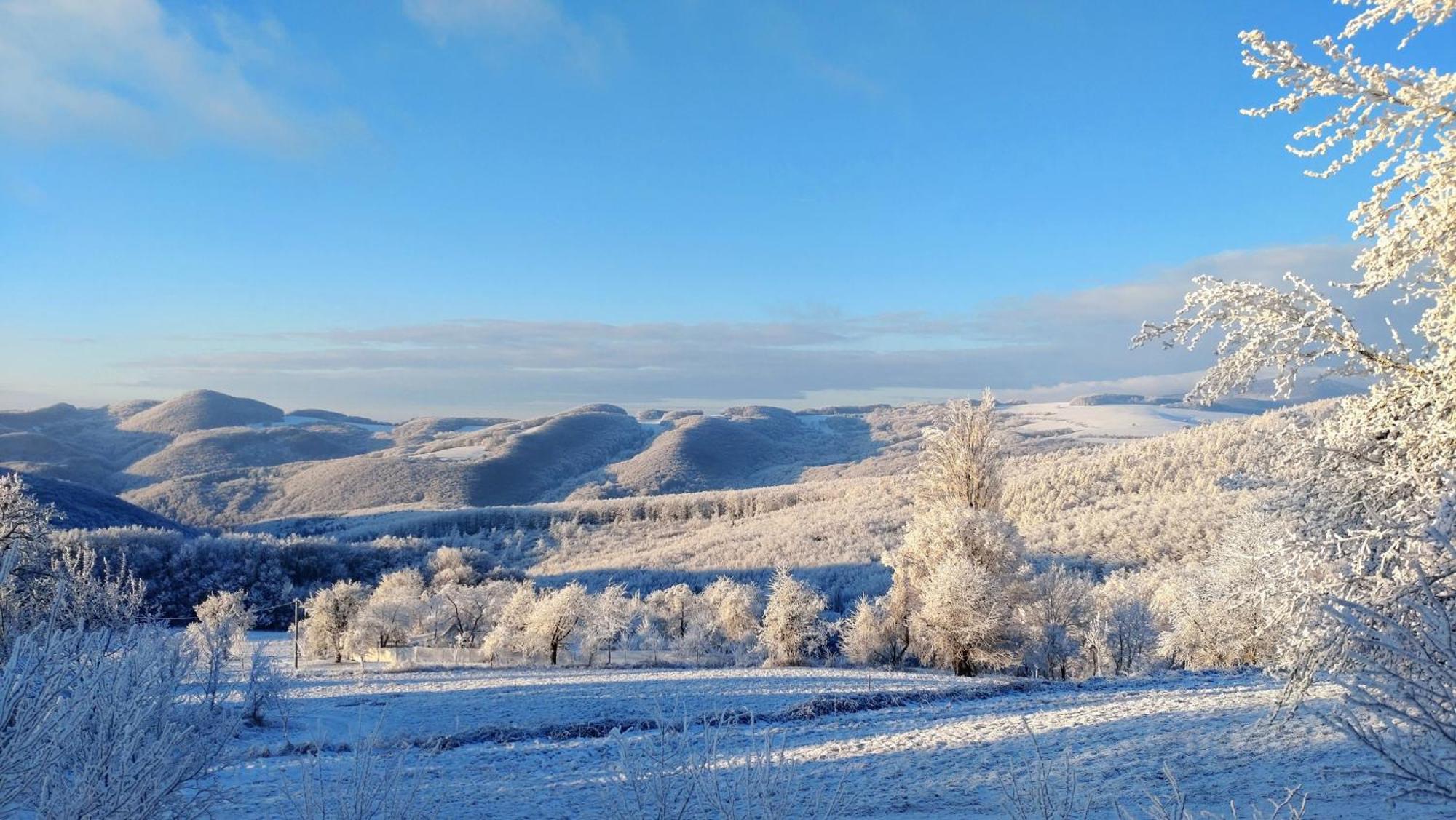 Nature Homestay Trenčín Exterior foto